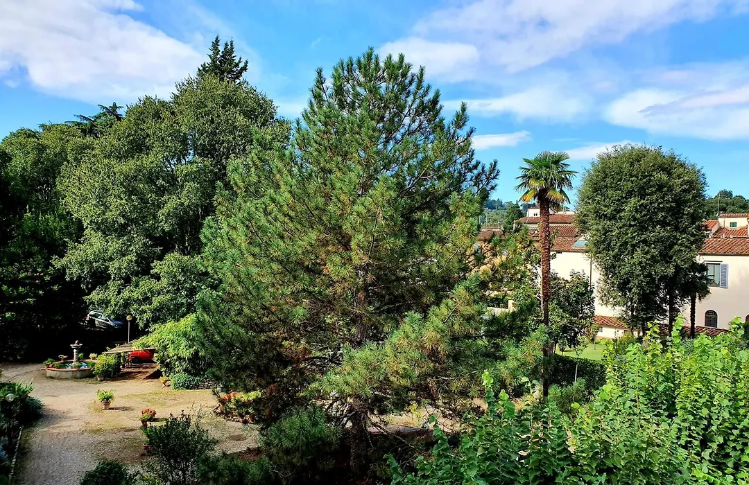 Hotel Annalena-1