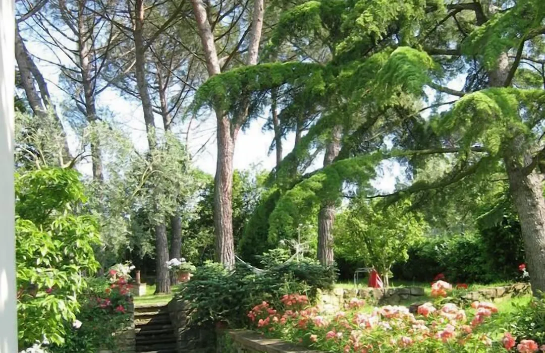 Fiorenza B&B-1