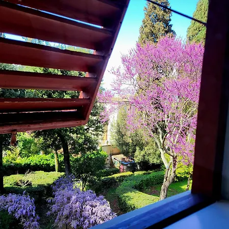 Villa Nardi - Residenza D'Epoca-3
