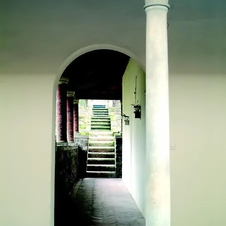 Fiorenza B&B-2