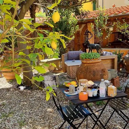 B&B Firenze 400-2
