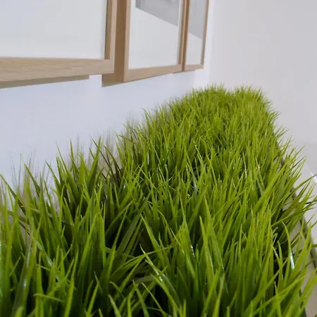 Green Domus-2